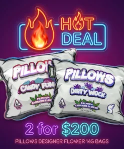 X2 PILLOWS POWERED BY SNOOZE - DESIGNER FLOWER - 14G