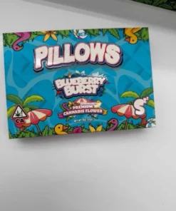 pillows powered by snooze summer edition